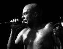 Fishbone